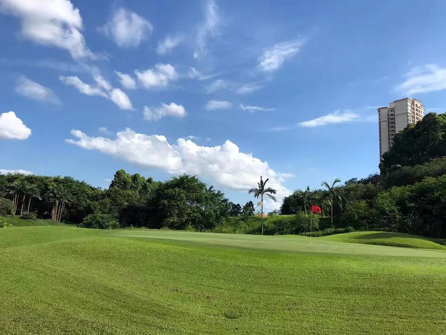 Foshan Nanhai Danzao