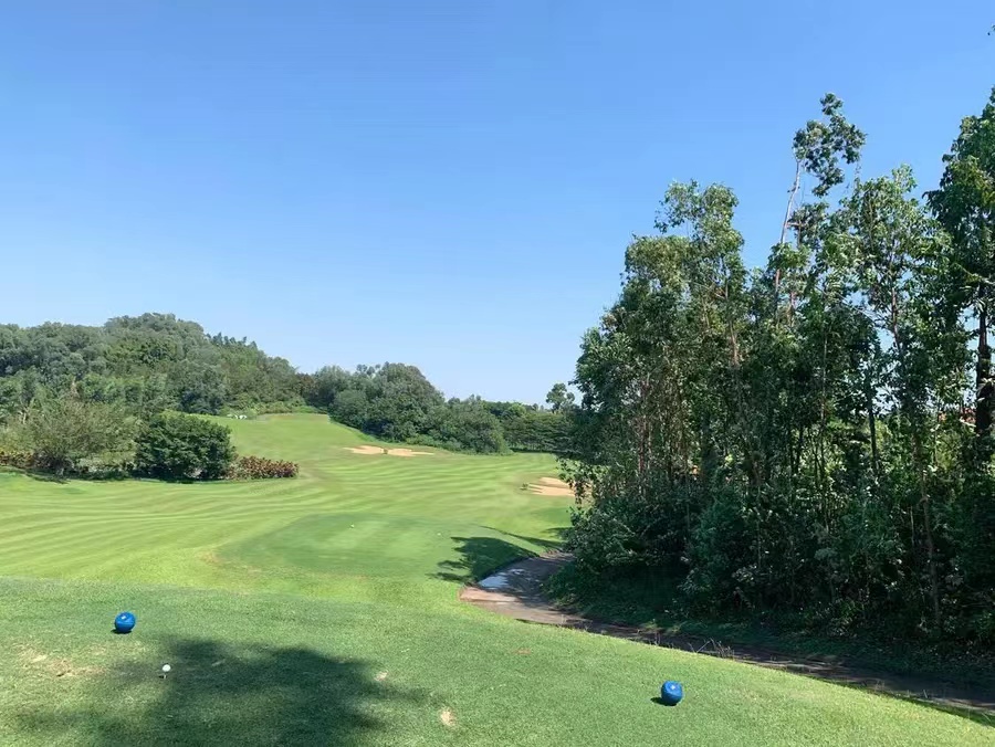 Foshan Nanhai Danzao
